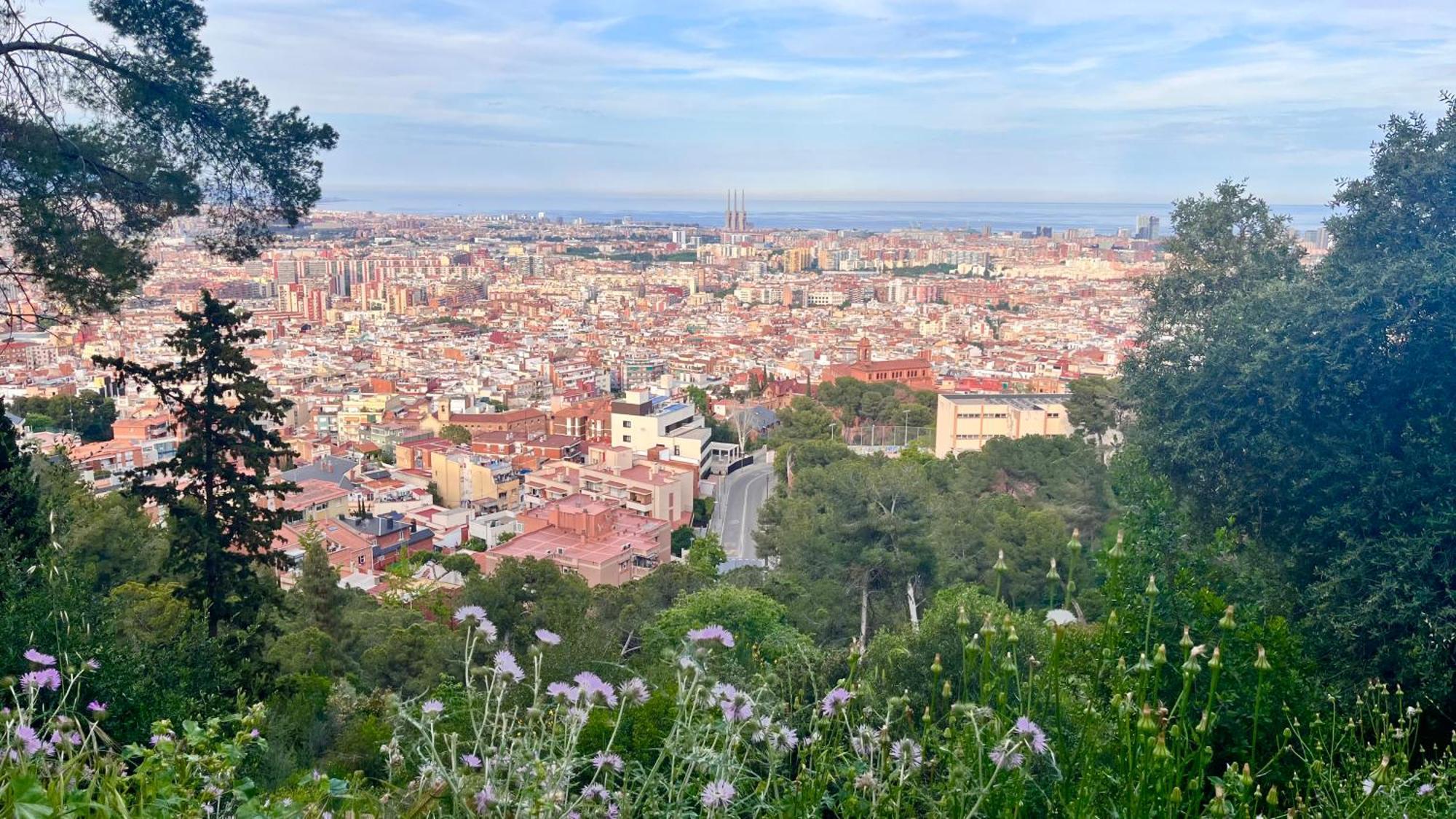Perfect Place For Nature Lovers Appartamento Barcellona